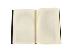 Libreta Chavo/Chapulín